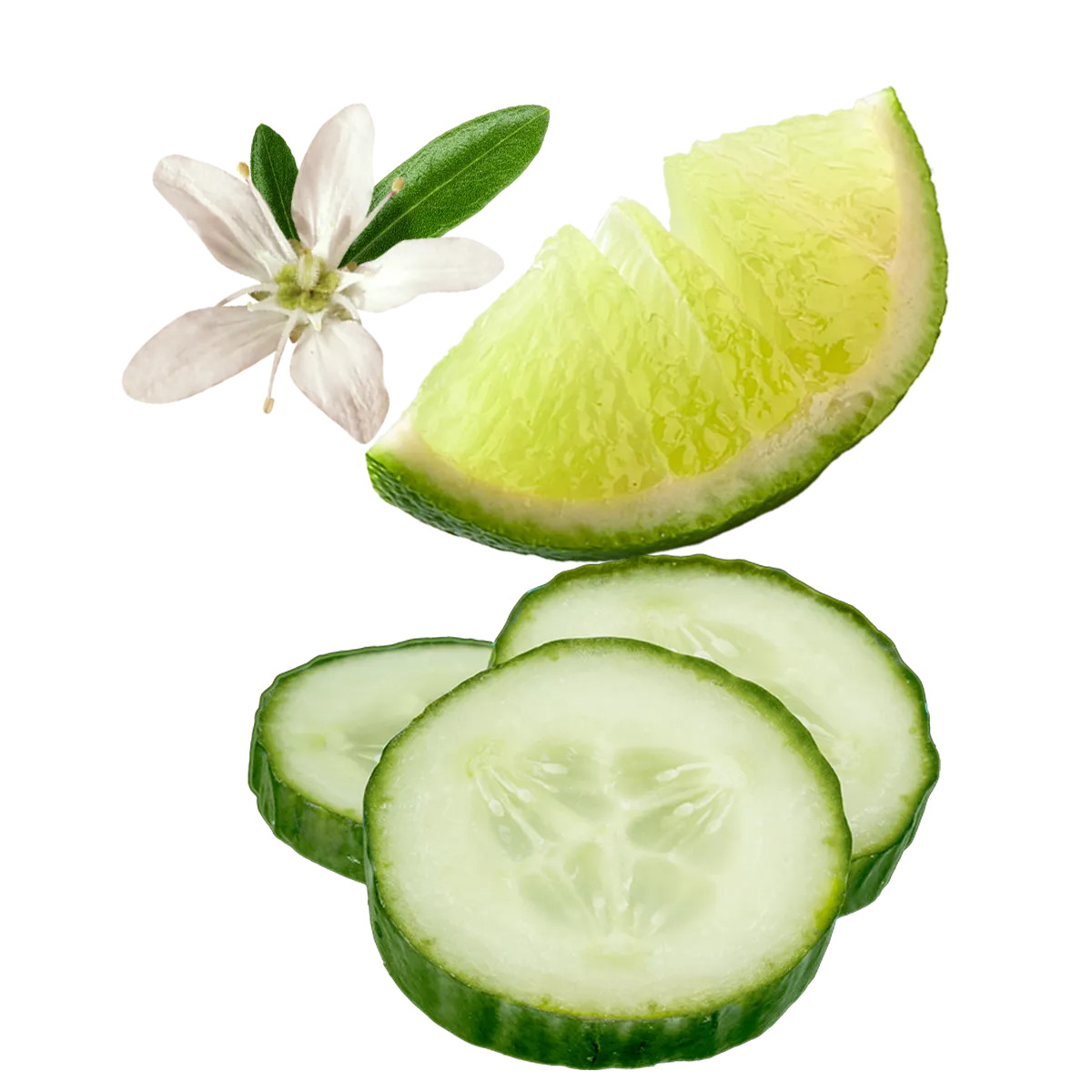 product composition image